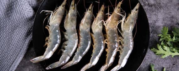 淡水虾养殖技术 淡水虾养殖技术条件