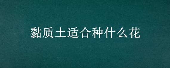 黏质土适合种什么花 黏土适合种花吗