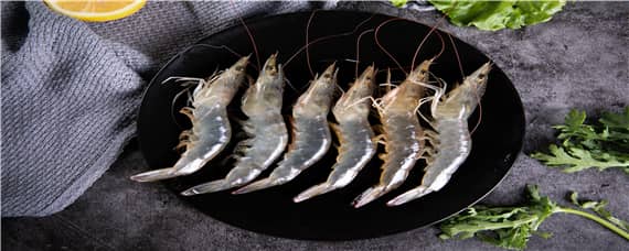 黑虎虾养殖技术 黑虎虾养殖技术和水质问题