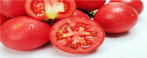 西红柿种子怎么留种 西红柿如何留种子