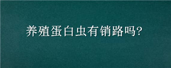 养殖蛋白虫有销路吗 养殖蛋白虫有市场吗