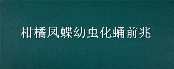 柑橘凤蝶幼虫化蛹前兆 柑橘凤蝶幼虫什么时候化蛹