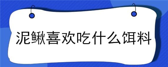 泥鳅喜欢吃什么饵料 泥鳅喜欢吃什么饵料钓鱼