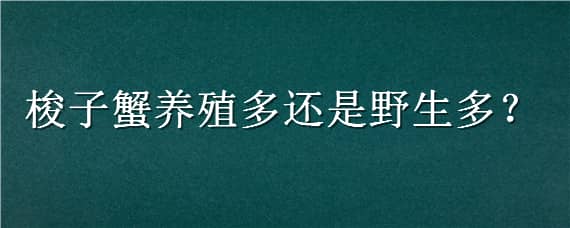 梭子蟹养殖多还是野生多 梭子蟹是养殖还是野生