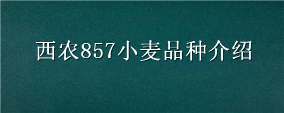 西农857小麦品种介绍