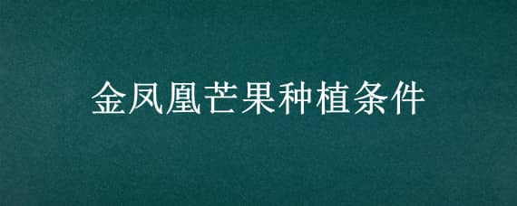 金凤凰芒果种植条件（小金凤凰芒果是什么品种）