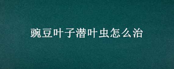 豌豆叶子潜叶虫怎么治 豌豆叶子潜叶虫怎么治理