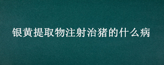 银黄提取物注射治猪的什么病 银黄针剂对猪什么病有特效