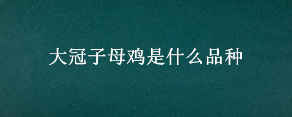 大冠子母鸡是什么品种 鸡冠子小的鸡是什么品种