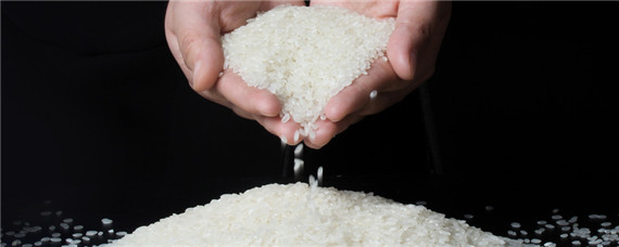 淘米水是氮肥还是磷肥 淘米水是什么肥是氮肥吗
