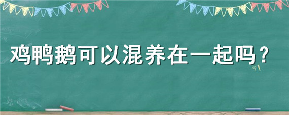 鸡鸭鹅可以混养在一起吗 鸡鸭鹅一起混养,危害大!