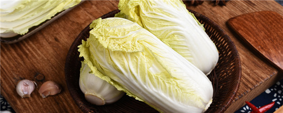 大白菜生长的适宜温度是多少（大白菜适宜生长温度是多少?）