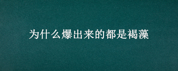 为什么爆出来的都是褐藻 为什么会爆褐藻