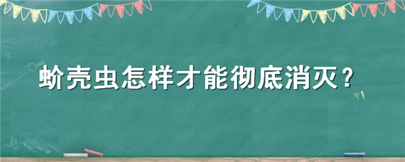 蚧壳虫怎样才能彻底消灭 法师蚧壳虫怎样才能彻底消灭