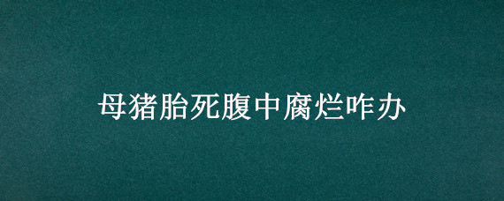 母猪胎死腹中腐烂咋办（母猪胎死腹中腐烂排不出 母猪会不会死）