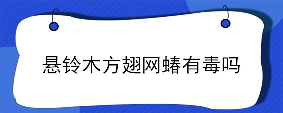 悬铃木方翅网蝽有毒吗 悬林木方翅网蝽