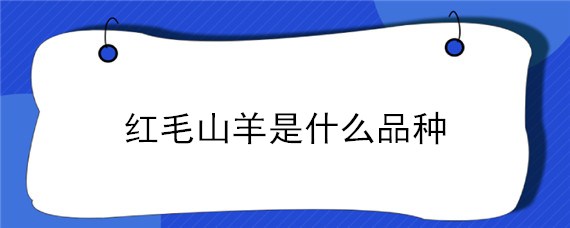 红毛山羊是什么品种（长毛山羊是什么品种）