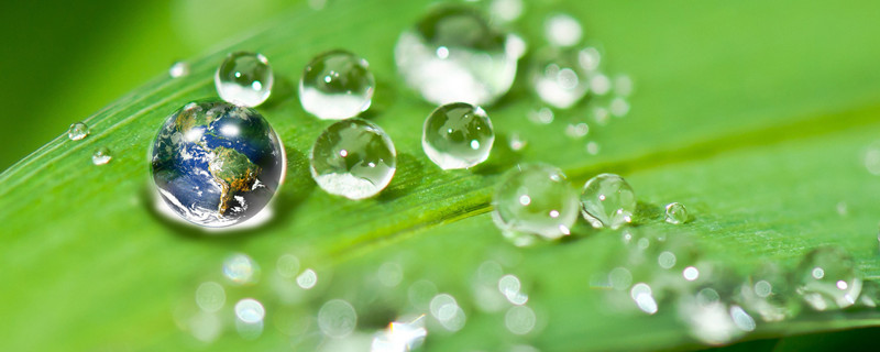体会水和光对于植物生长的重要性（体会水和光对于植物生长的重要性写作文80字）