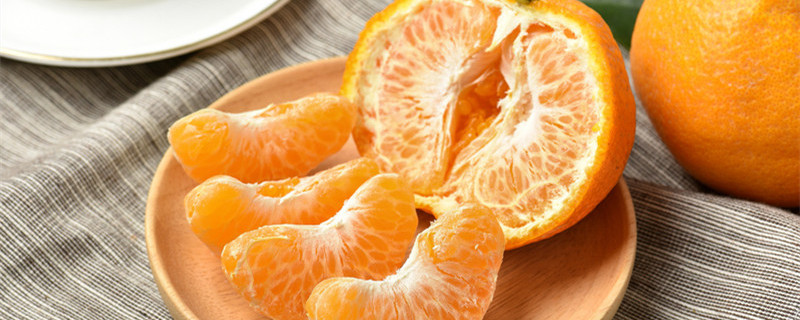 柑橘树根腐烂如何补救 柑橘树根腐病怎么治