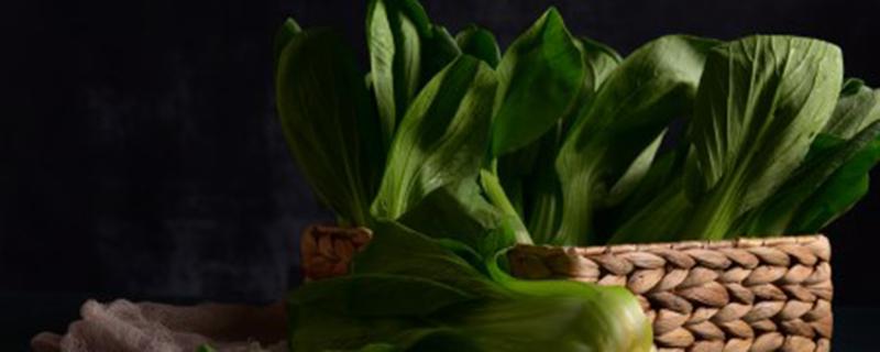 青菜打了吡虫啉多久能吃 吃了吡虫啉喷的青菜会中毒吗