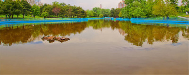 虾塘水浑浊的处理办法