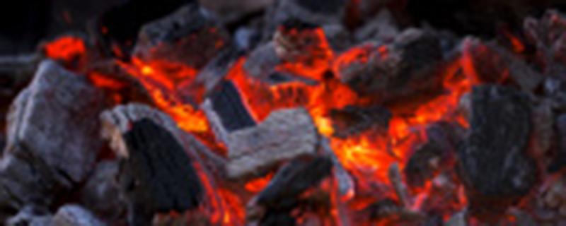 烧过的木炭能做花肥吗 木炭灰可以直接做花肥吗