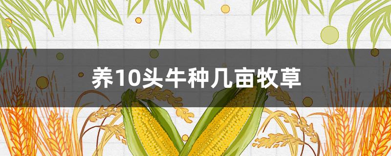 养10头牛种几亩牧草