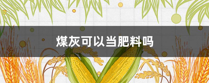 煤灰可以当肥料吗