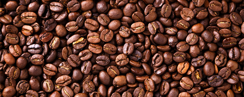 咖啡豆是什么树的果实（咖啡树的果实叫什么）