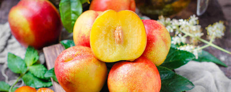 黄金油桃的特点（黄金油桃和普通油桃）
