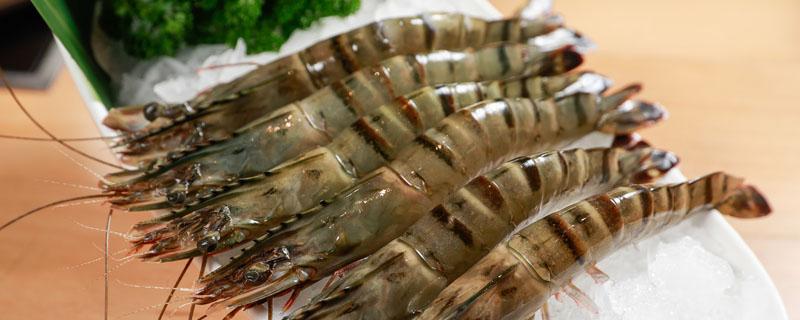 越南对虾是淡水虾吗？和中国对虾的区别是什么？