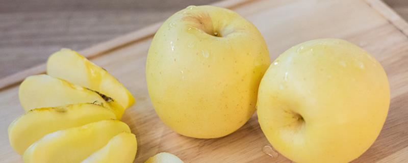 维纳斯黄金苹果怎样种植，附其特性 维纳斯黄金苹果及优质高产栽培技术