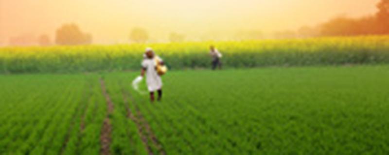 灌溉农业和绿洲农业的区别（灌溉农业和绿洲农业的区别 举例）