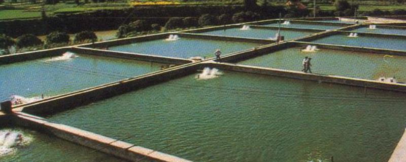 淡水养殖，附生产方式 淡水养殖概念