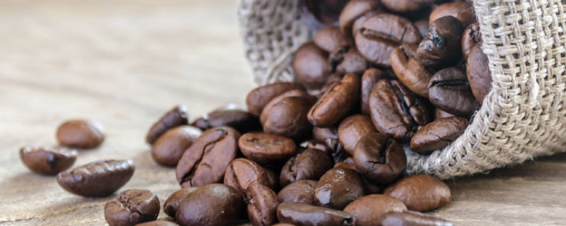 咖啡豆种植的方法，注意病虫害防治（咖啡豆的种植技术）