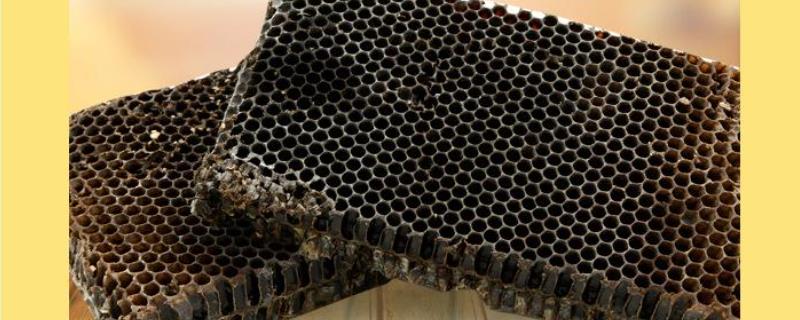 蜂巢素和蜂巢蜜的区别 什么是蜂巢素