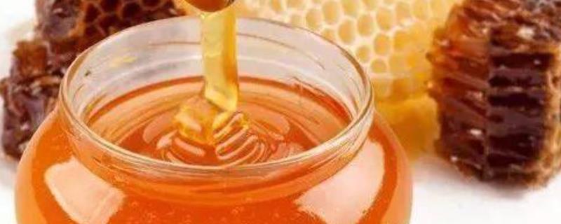 百花蜜和蜂巢蜜的区别（百花蜜和蜂巢蜜的区别在哪）