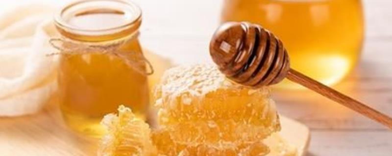 枣花蜜怎么辨别真假，从色泽、味道、结晶、价格上来辨别