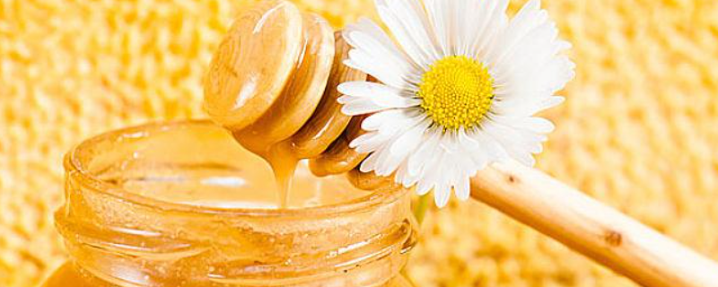 中蜂和意蜂的蜜哪个好，详细介绍（中蜂和意蜂蜜哪个好）