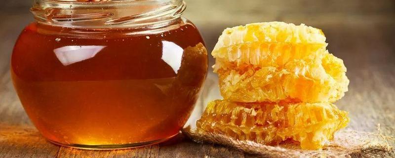 土蜂蜜的真假怎么鉴别，土蜂蜜的价格大概多少