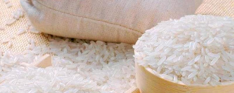 粳米是什么米（粳米是什么米和大米有区别吗?）