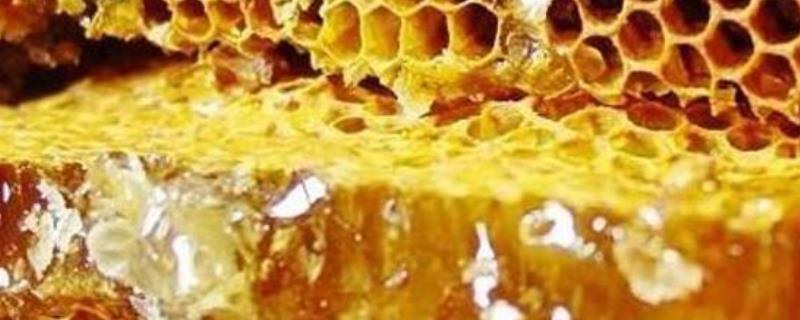 蜂胶的真假怎么鉴别，需谨慎购买 蜂胶的真假怎么鉴别?