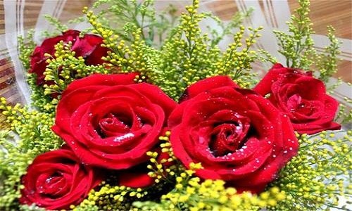玫瑰花种类 红色系玫瑰花种类