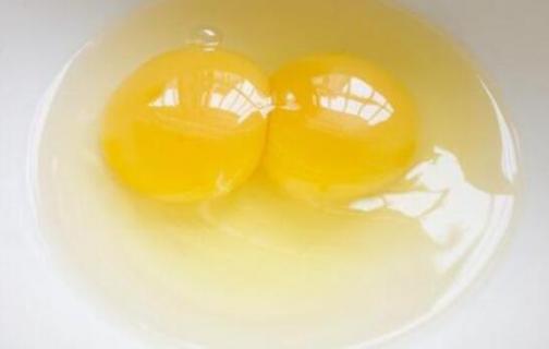 双黄蛋可以孵出两个小鸡吗 双黄蛋能不能孵出两只小鸡?