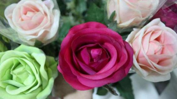 重瓣玫瑰花和玫瑰区别 玫瑰花和重瓣玫瑰花