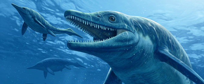 为什么鱼龙不是恐龙 为什么鱼龙不是恐龙呢
