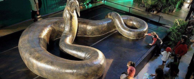 科考最大的蛇究竟有多大（目前世界上发现最大的蛇多大）