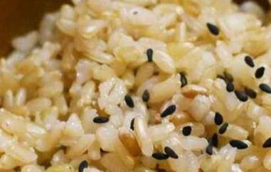 糙米饭怎么做 糙米饭怎么煮好吃又可以减肥