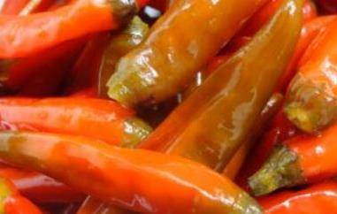 辣椒泡菜的腌制方法和配料（辣椒泡菜的腌制方法和配料图片）