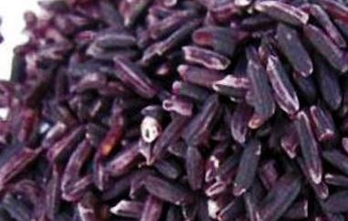 紫米的功效与作用（紫米的功效与作用及营养价值）